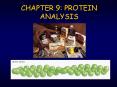 CHAPTER 9: PROTEIN ANALYSIS PowerPoint PPT Presentation