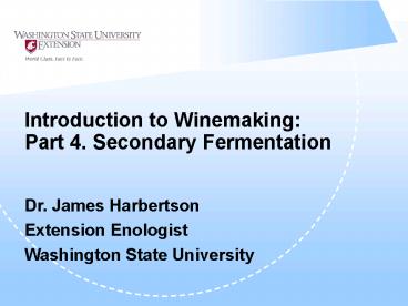 Introduction to Winemaking: Part 4. Secondary Fermentation