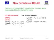 New Particles at BELLE