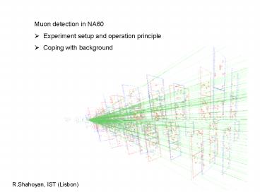Muon detection in NA60