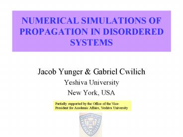 NUMERICAL SIMULATIONS OF PROPAGATION IN DISORDERED SYSTEMS