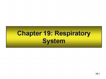 Chapter 19: Respiratory System