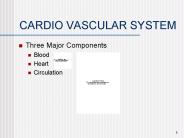 CARDIO VASCULAR SYSTEM