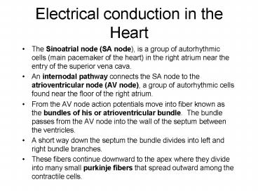 Electrical conduction in the Heart