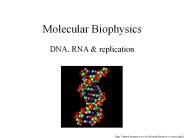 Molecular Biophysics