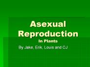 Asexual%20Reproduction%20In%20Plants