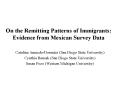 On the Remitting Patterns of Immigrants: Evidence from Mexican Survey Data PowerPoint PPT Presentation