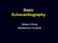 Basic Echocardiography PowerPoint PPT Presentation