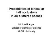 Probabilities of binocular half occlusions in 3D cluttered scenes