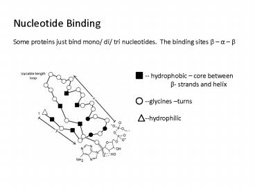Nucleotide Binding