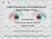 Depth%20Perception,%20with%20Emphasis%20on%20Stereoscopic%20Vision