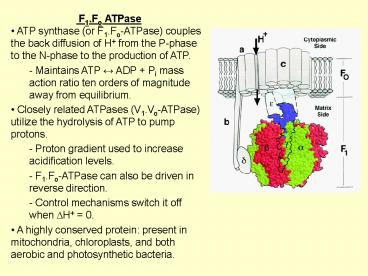 F1.Fo ATPase