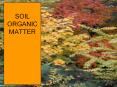 SOIL ORGANIC MATTER PowerPoint PPT Presentation