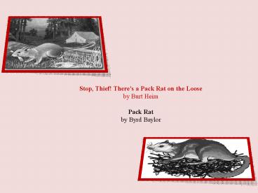Stop, Thief Theres a Pack Rat on the Loose