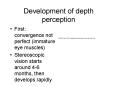 Development of depth perception PowerPoint PPT Presentation