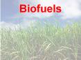 Biofuels PowerPoint PPT Presentation