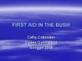 FIRST AID IN THE BUSH PowerPoint PPT Presentation