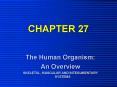 The Human Organism: PowerPoint PPT Presentation