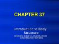 Introduction to Body Structure: PowerPoint PPT Presentation