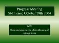 Progress Meeting StEtienne October 28th 2004 PowerPoint PPT Presentation