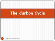 Science 9 - Carbon Cycle