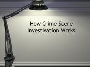 crime scene investigation