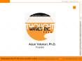 Flash Drive with a Display by Thought Waves Inc. PowerPoint PPT Presentation
