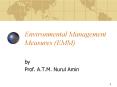 Environmental Management Measures EMM PowerPoint PPT Presentation