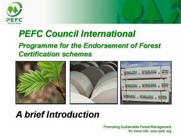 Promoting Sustainable Forest Management