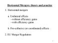 Horizontal Mergers: theory and practice PowerPoint PPT Presentation