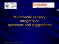 Multimodal sensory integration: questions and suggestions PowerPoint PPT Presentation