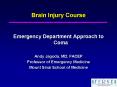 Brain Injury Course PowerPoint PPT Presentation