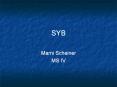 SYB PowerPoint PPT Presentation