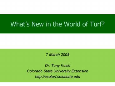 Whats New in the World of Turf