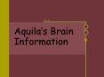 Aquilas Brain Information PowerPoint PPT Presentation