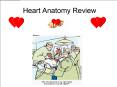 Heart Anatomy Review PowerPoint PPT Presentation