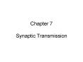 Chapter 7 Synaptic Transmission PowerPoint PPT Presentation