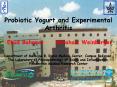 Probiotic Yogurt and Experimental Arthritis Ehud Baharav Abraham Weinberger Department of Medicine B PowerPoint PPT Presentation