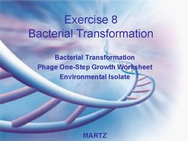 Exercise 8 Bacterial Transformation
