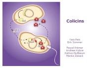 Colicins