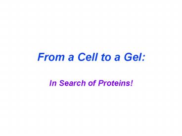 From a Cell to a Gel:
