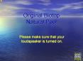 Original Biotop Natural Pool PowerPoint PPT Presentation