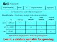Soil PowerPoint PPT Presentation