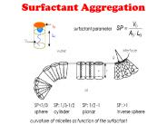 Surfactant Aggregation