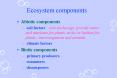 Ecosystem components PowerPoint PPT Presentation