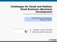 Challenges for Small and Medium Sized Business eBusiness Development PowerPoint PPT Presentation