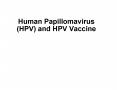 Human Papillomavirus HPV and HPV Vaccine PowerPoint PPT Presentation