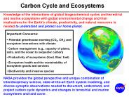Carbon Cycle and Ecosystems