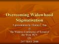 Overcoming Widowhood Stigmatisation PowerPoint PPT Presentation