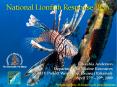 National Lionfish Response Plan PowerPoint PPT Presentation